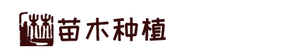k8娱乐在线
